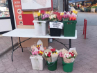 До 45 тысяч рублей за букет: в Ростове изучили цены на цветы перед 8 Марта
