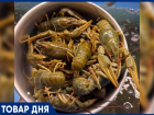 ТОВАР ДНЯ: Рак «Волга» Крупный — 1699 рублей за килограмм