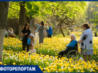 Весна в Ростове: покажем самые красивые уголки города с сотнями тюльпанов