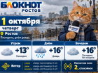 Первый день октября в Ростове будет дождливым, пасмурным и до +16 градусов