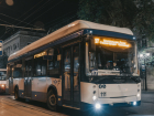 В Ростове вместо троллейбусов на маршруте 17а запустят 10 электробусов 