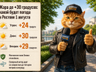 Жара до +30 градусов: какой будет погода в Ростове 1 августа