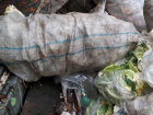 Работники центрального рынка Ростова выбрасывали мусор в контейнеры жителей