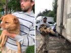 Бездомных собак в Азове отлавливает компания с сомнительной репутацией