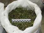 В Ростовской области у пасечника-наркоторговца изъяли килограмм марихуаны