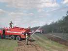 В Ростовской области потушили крупный лесной пожар