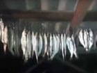 «Мужской рай под крышей» снял на видео заядлый рыболов Ростова