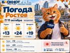 До +24 и солнечно: в Ростове ожидается почти летняя погода
