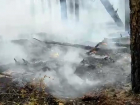 В Ростовской области увеличилась площадь пожара в лесничестве