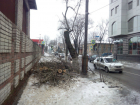 Просьбу очистить тротуар от травмоопасного сруба жестоко высмеяли «инициативные» жители Ростова