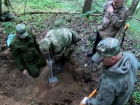 Останки красноармейца из Ростова найдены в Смоленской области