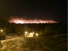 Под Ростовом выгорела часть природного парка "Донской"