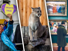 Зоопарк, музеи и театр в кино: куда пойти в Ростове на этой неделе