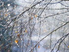 Мокрый снег и дожди ожидаются в Ростове-на-Дону на этой неделе
