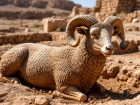 В Ростовской области нашли древнего барана которого никто не видел