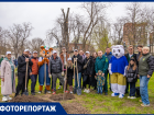 В Ростове отметили 115-летие праздника древонасаждения: горожане и профессионалы высадили более 100 деревьев в парке Пионерский