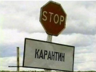 В трех районах Ростовской области снят карантин по бешенству