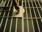 В Ростовской области по амнистии на свободу могут выйти почти 200 заключенных