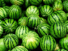 Арбузы и дыни в Ростовской области подорожают на 15% в 2024 году