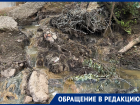 В Ростове сточные воды продолжают стекать в Безымянный ручей 