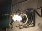 Подъездным похитителям лампочек объявили бойкот жители многоэтажек