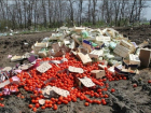 Четыре тонны помидоров, капусты и картофеля с калифорнийским вредителем раздавили бульдозером в Ростовской области