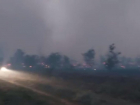 В Ростовской области загорелся лес на площади в 117 гектаров