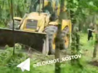 Бастрыкин поставил на контроль вопрос о вырубке рощи в донском хуторе 