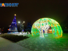 Ростовчане положительно оценили главную городскую елку