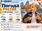 До +21 градуса прогреется воздух в Ростове 10 октября