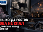 Ночь, когда Ростов снова не спал: люди, животные и город под звуки ПВО