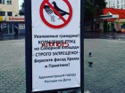 Ростовчане мгновенно отреагировали на запрет кормления птиц в центре города