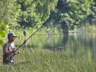 В Ростовской области назвали места, где нельзя ловить рыбу
