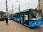 Ростовский автобусный маршрут №1А возобновил работу
