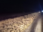 В Ростовской области водитель иномарки погиб на трассе после жесткого заноса