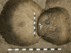 Захоронения богатых кочевников старше египетских пирамид откопали археологи под Ростовом