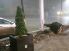 Хулиганы-вредители распотрошили урны с мусором и опрокинули елку в центре Ростова