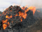 Непотушенная сигарета сожгла 300 тонн сена в Ростовской области