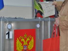 К выборам губернатора в 2025 году на Дону изменится схема избирательных округов