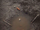 Смешных снеговиков из луж и грязи лепят «от безысходности» жители Ростова