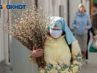 Две недели самоизоляции в Ростовской области: первые итоги противоинфекционных распоряжений власти
