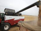 В Ростовской области собрали более 10 млн тонн зерна