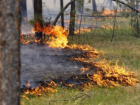 Наивысший класс пожароопасности объявлен в Ростовской области
