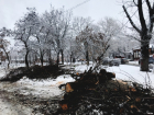 Мы платим дважды: аварийные деревья, грозившие упасть на головы жителей, вырубили в Ростовской области