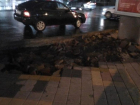 Власти Ростова на месте потопов контролируют борьбу с последствиями стихии