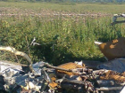 Легкомоторный самолет потерпел крушение в Волгодонском районе Ростовской области