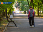 В Ростове планируют увеличить число пешеходных улиц