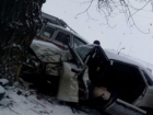 Смертью водителя закончилось столкновение легковушки с деревом в Ростовской области 