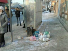 Ленивые ростовчане завалили своими мусорными мешками автобусную остановку 
