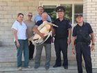 Краснокнижного пеликана с переломами крыла и ноги спасли в Ростове